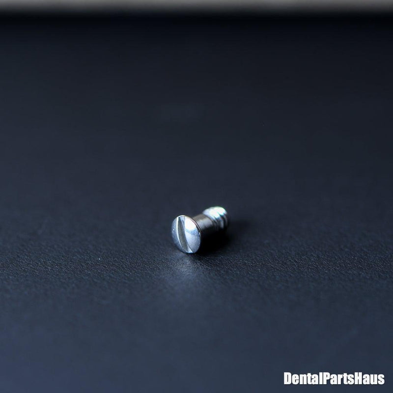 Swing Latch Handle w/Screw